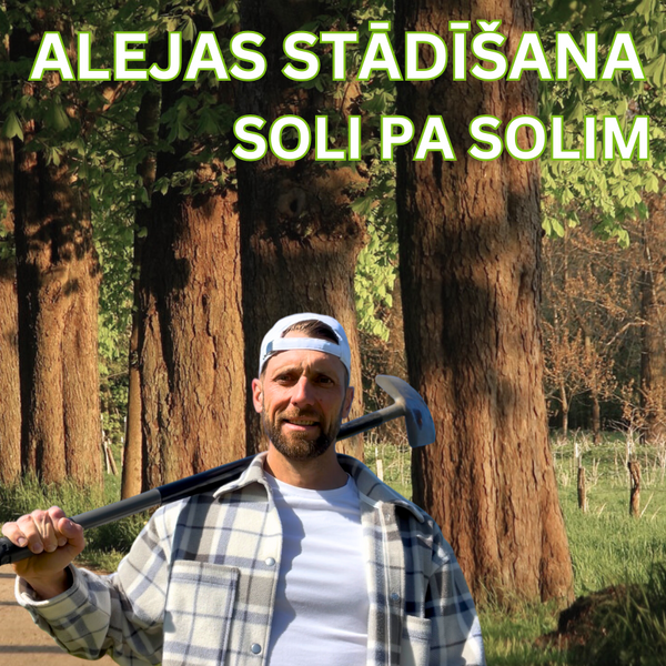 Alejas stādīšana - soli pa solim