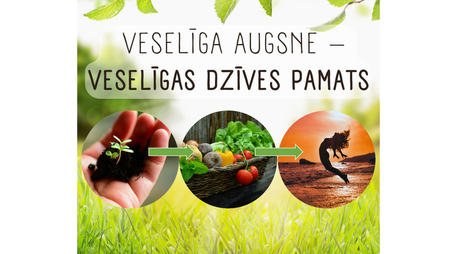 Veselīga augsne – veselīgas dzīves pamats