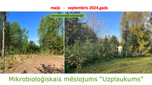 Ielādēt attēlu Gallery viewer, Mikrobioloģiskā mēslojuma &quot;Uzplaukums&quot; sagatavošanas instrukcija
